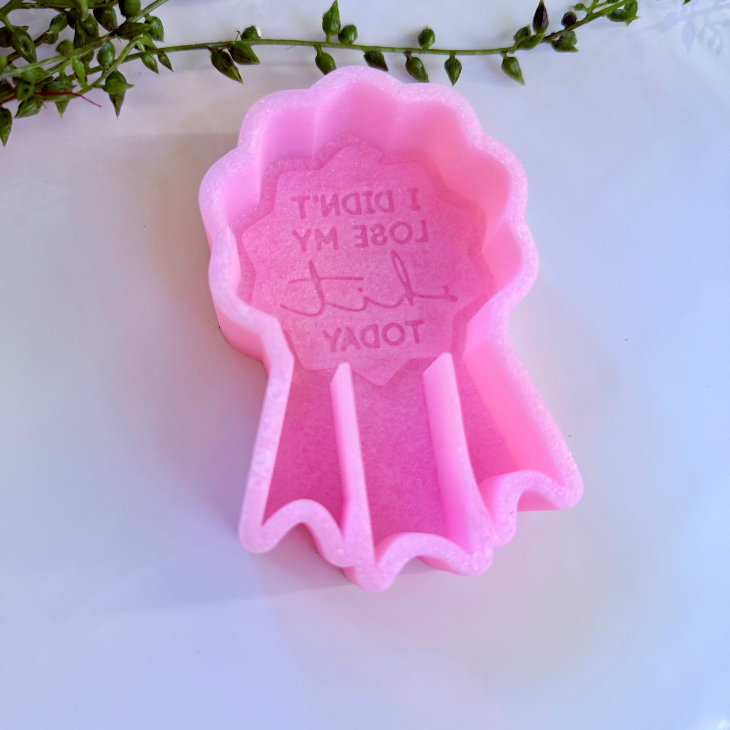 I didn’t lose my s*it today Freshie Mold