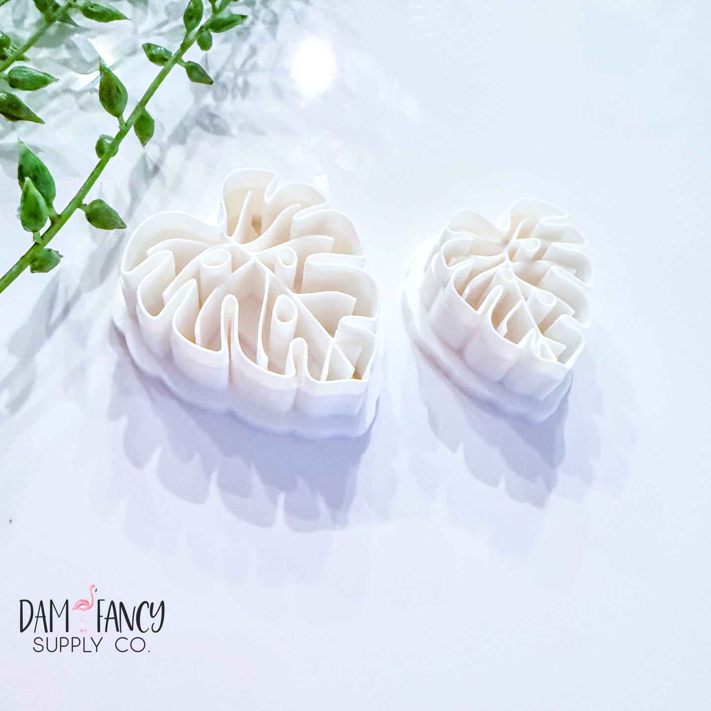 Monstera leaf 2 (center vein)