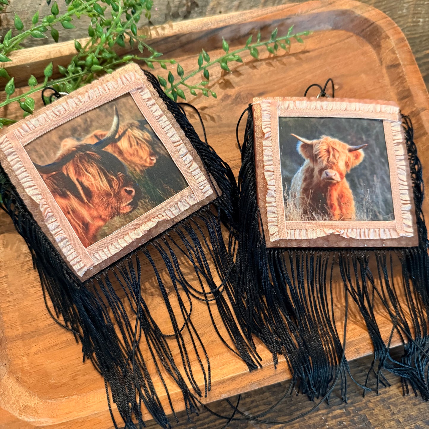 Wholesale Freshies- Square Highland Cow Pack