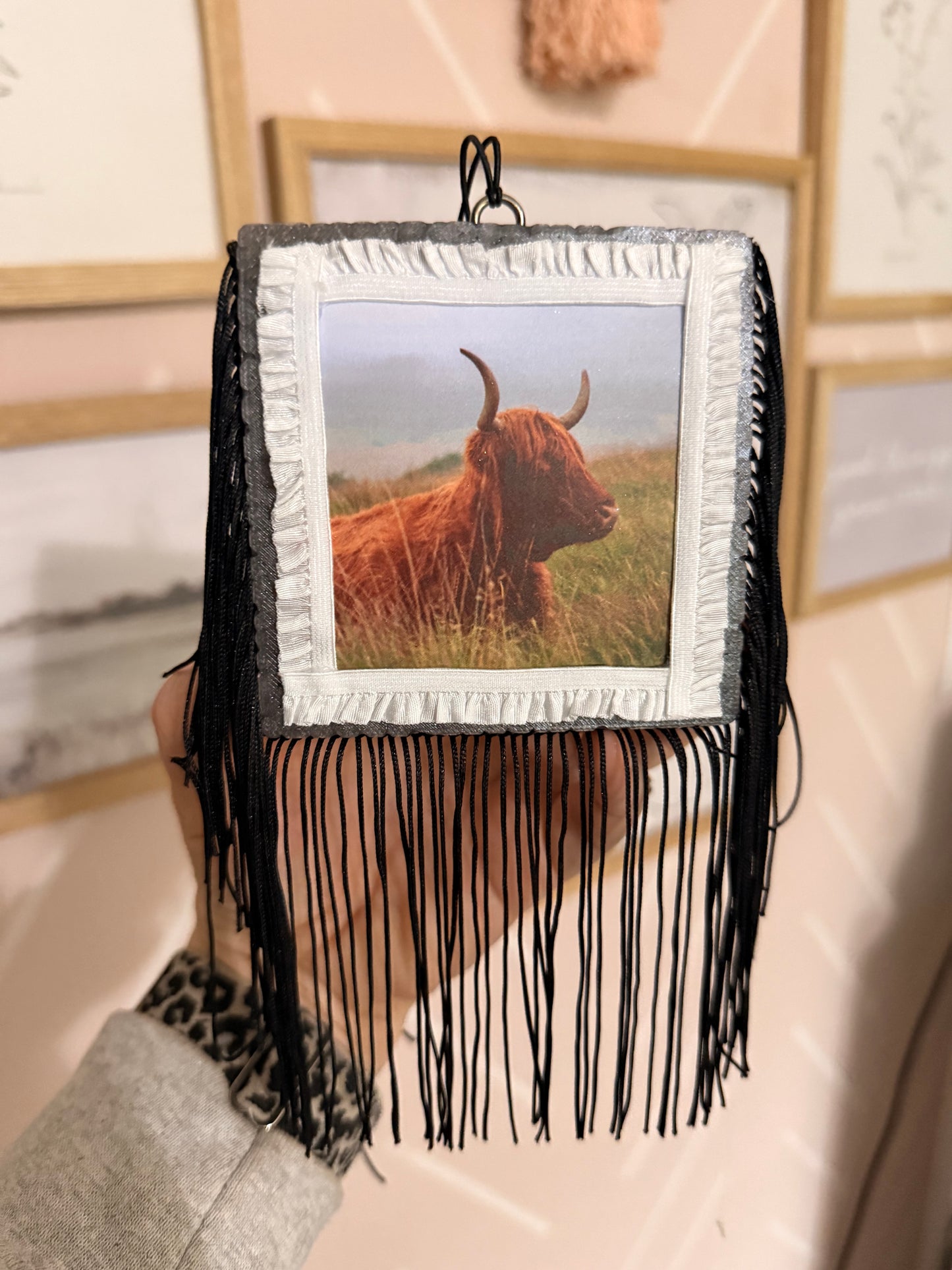 Wholesale Freshies- Square Highland Cow Pack