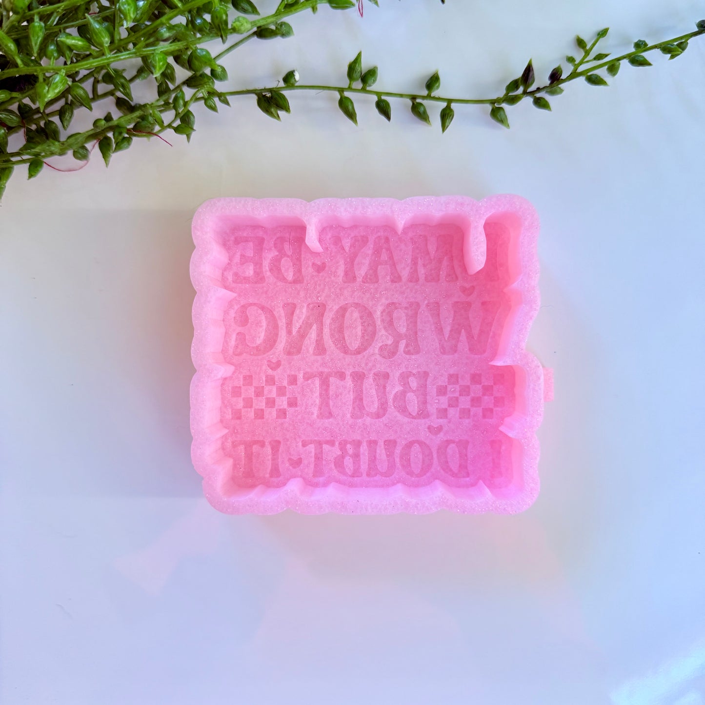 I May Be Wrong But I Doubt It Freshie Mold