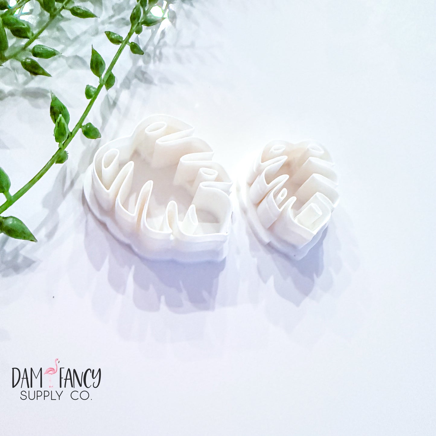 Monstera leaf 1 (no vein)