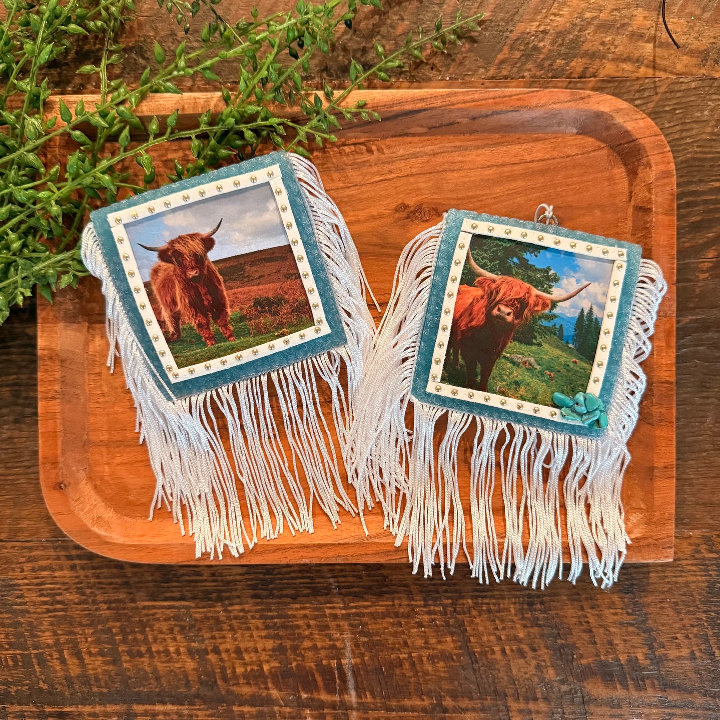 Wholesale Freshies- Square Highland Cow Pack