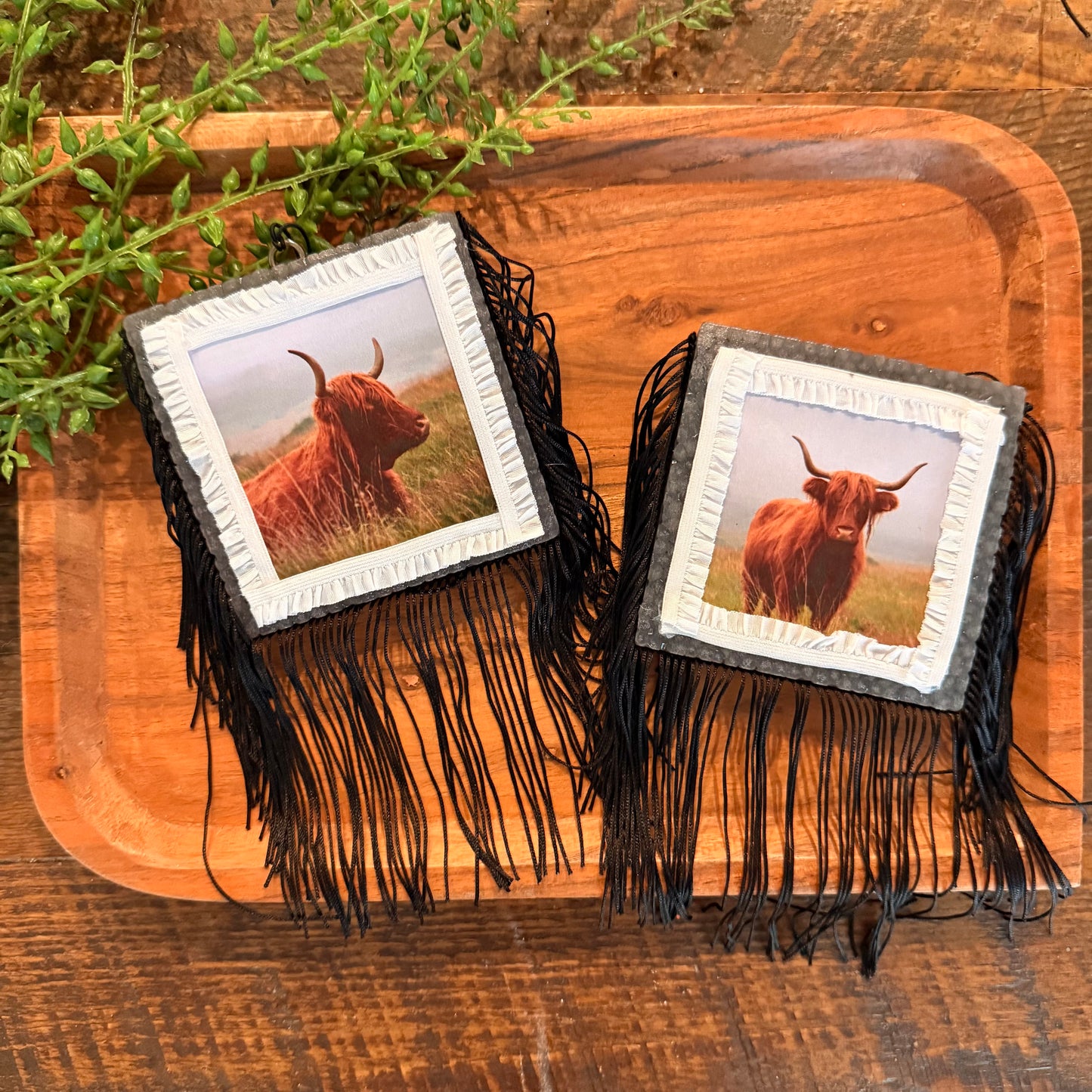 Wholesale Freshies- Square Highland Cow Pack