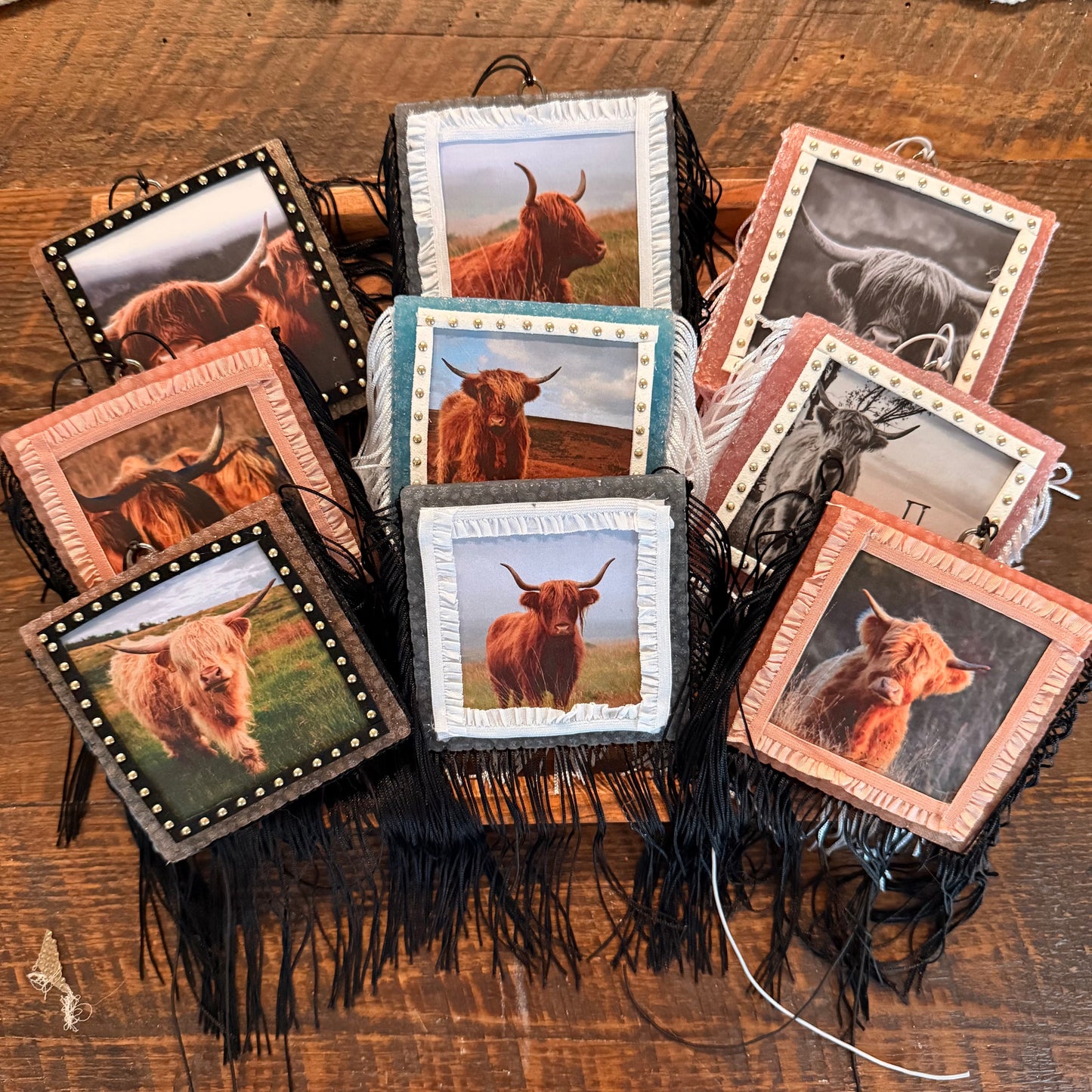 Wholesale Freshies- Square Highland Cow Pack
