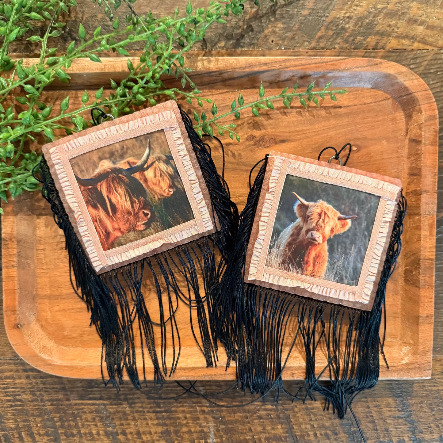 Wholesale Freshies- Square Highland Cow Pack