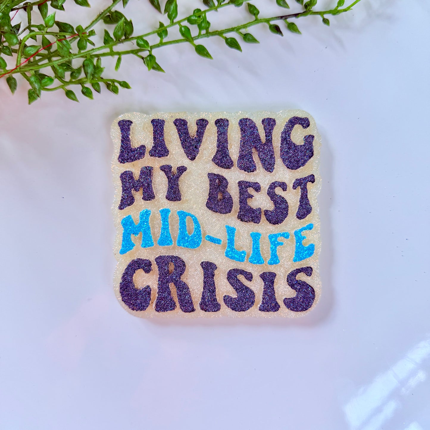 Living My Best Mid-Life Crisis Freshie Mold