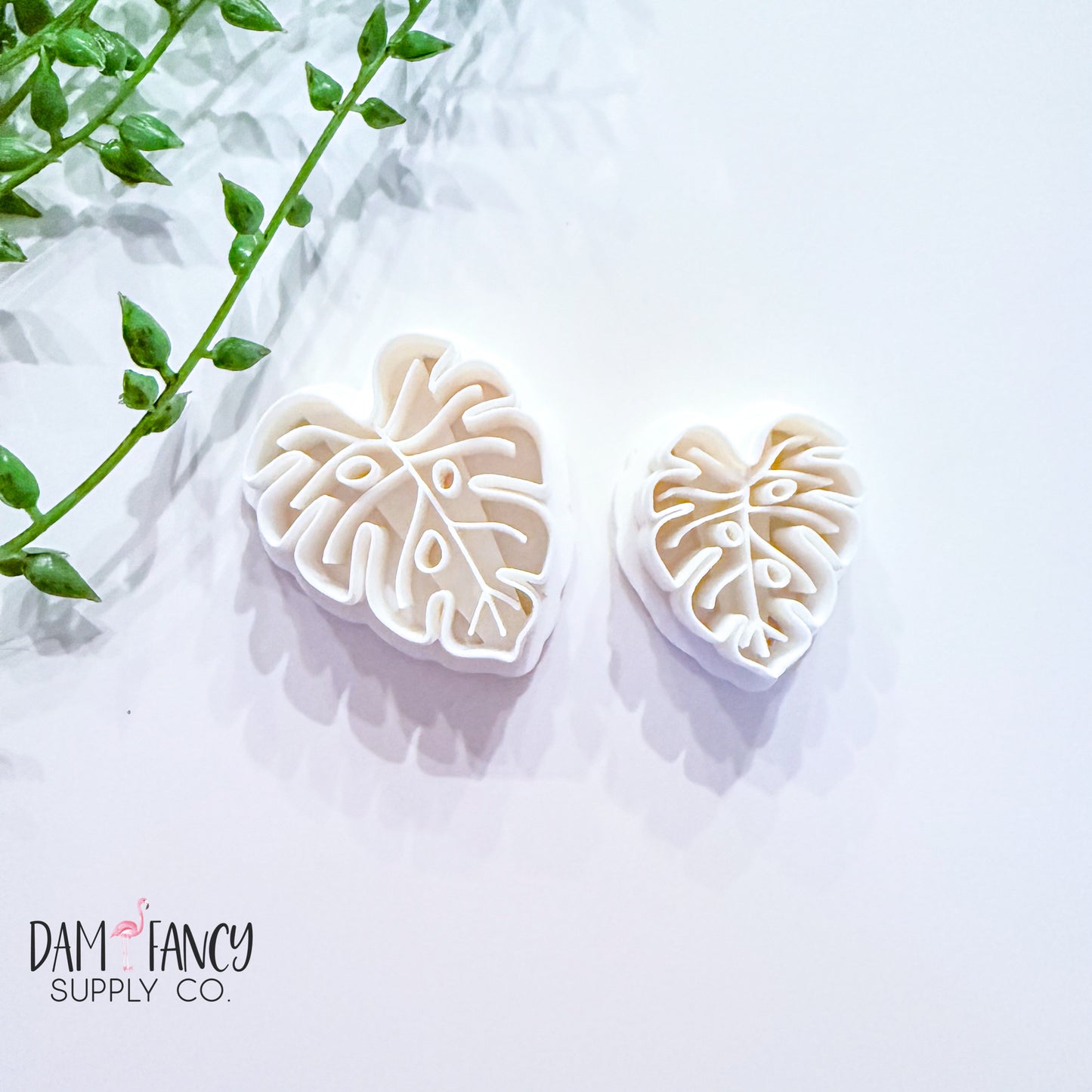 Monstera leaf 2 (center vein)