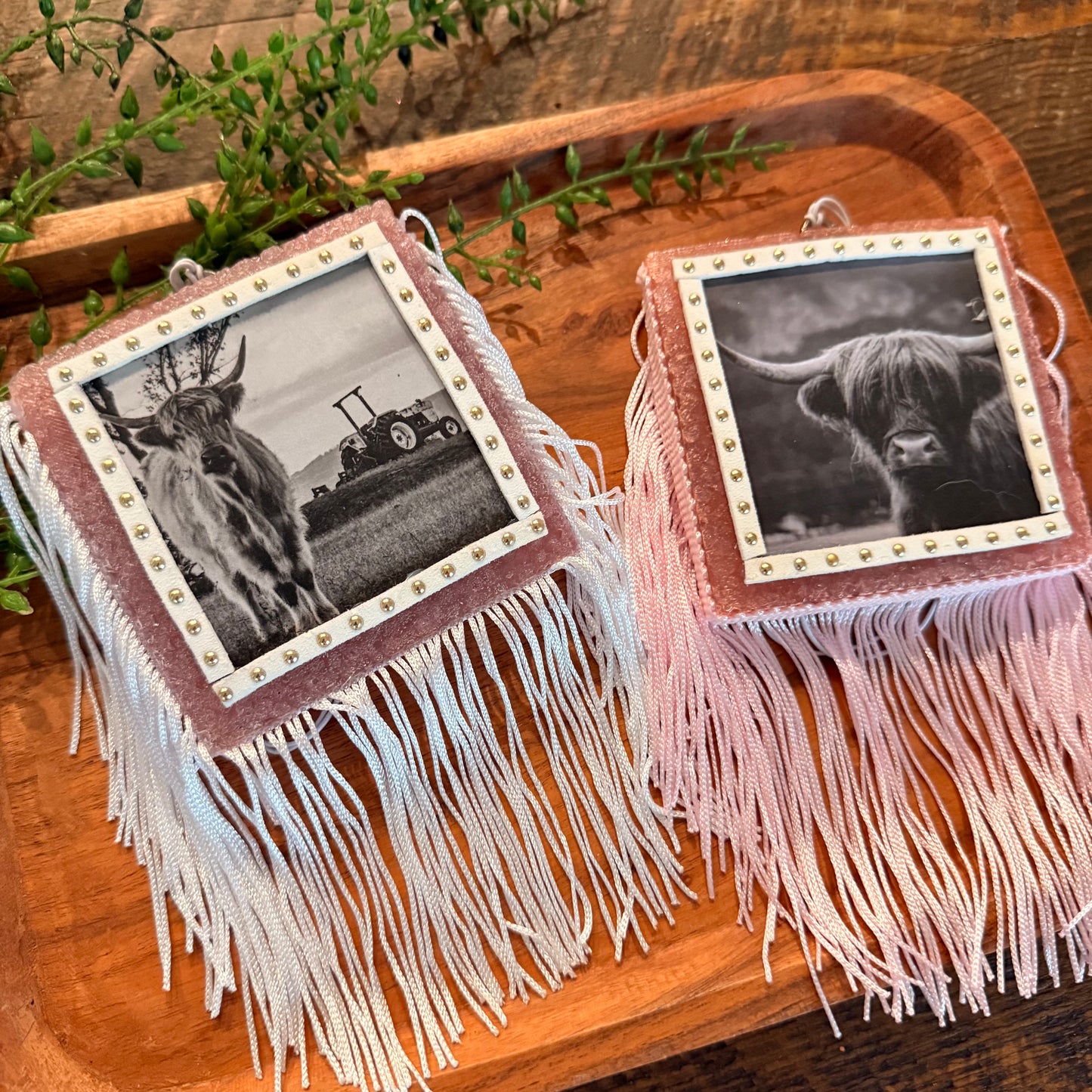 Wholesale Freshies- Square Highland Cow Pack