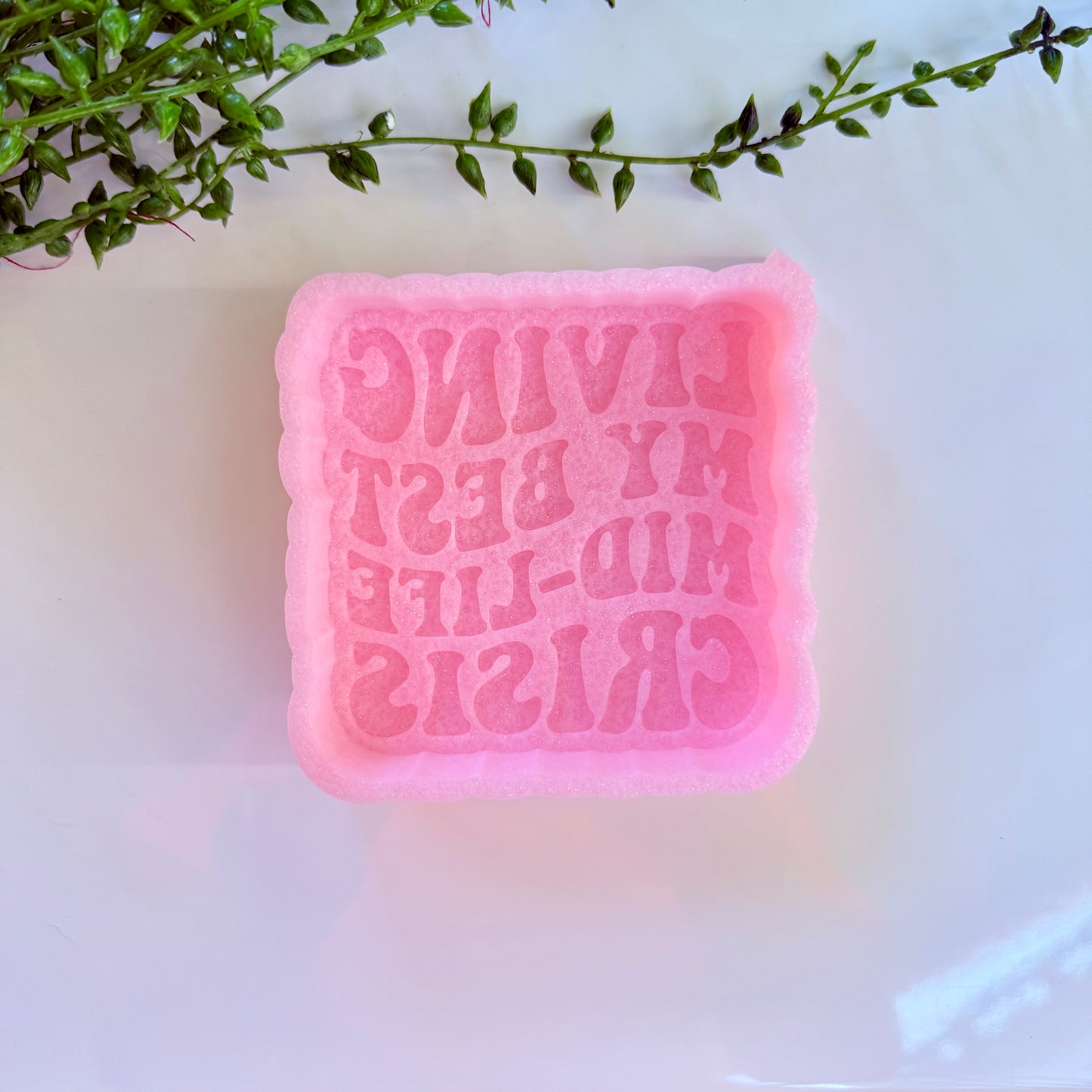 Living My Best Mid-Life Crisis Freshie Mold