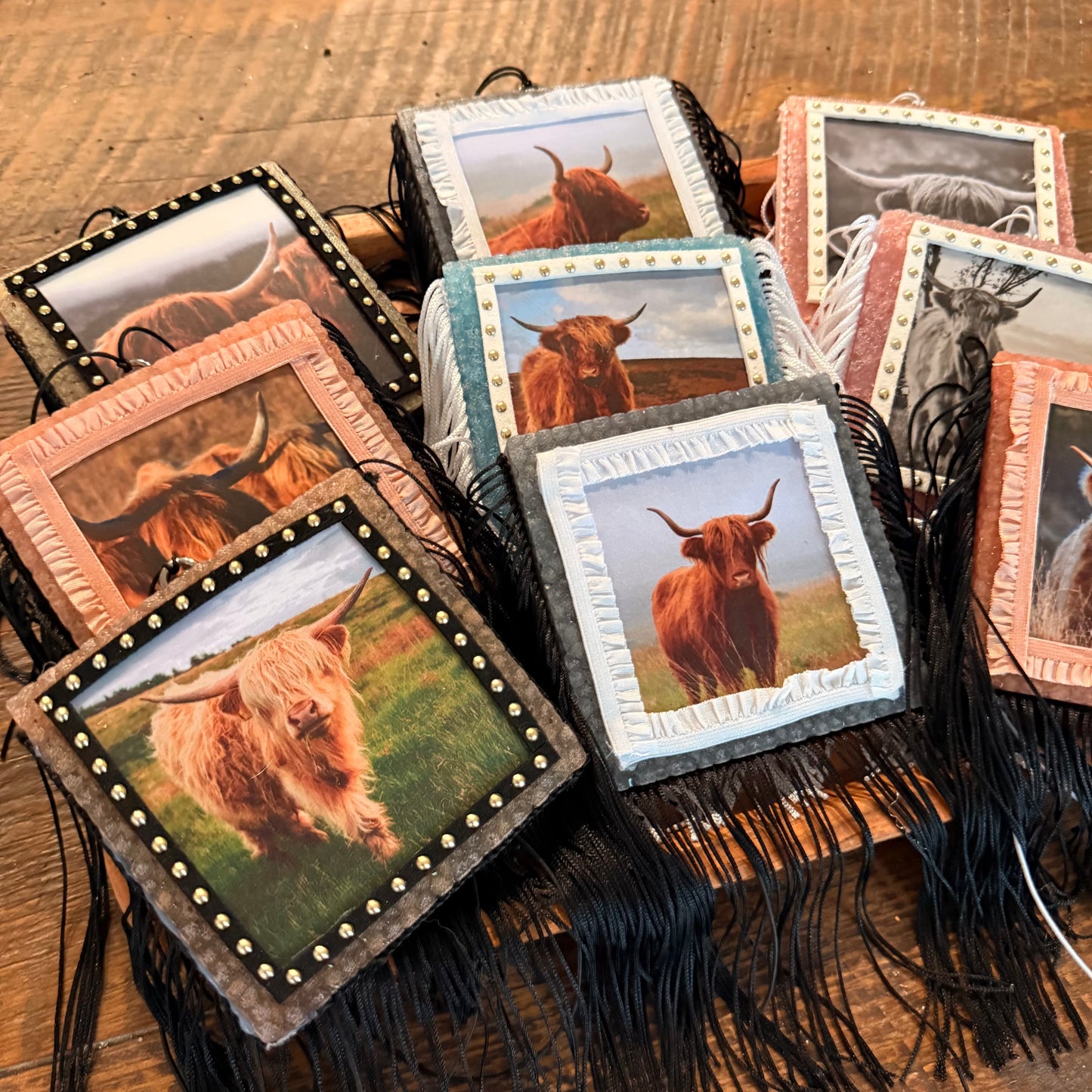 Wholesale Freshies- Square Highland Cow Pack